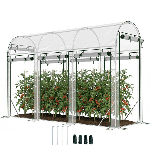 Serre tunnel de jardin 3 m², serre de jardin tunnel 295x100x197cm avec cadre en acier galvanisé, 8 portes roulantes, pour extérieur, toutes saisons, transparent