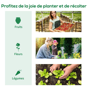 Serre de Jardin Tunnel serre à tomates Surface Sol 8 m² 4L x 2l x 2,05H m châssis Tubulaire renforcé Double Porte zippée 6 fenêtres enroulables vert