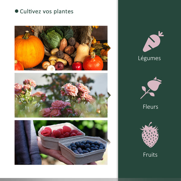 Serre de Jardin mini serre à tomates dim. 2L x 1l x 0,8H m Porte zippée bâche PE Acier Vert