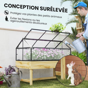 Mini Serre sur Pieds - jardinière surélevée - dim.  120L x 60l x 103H cm - double toit ouvrable Panneaux de Polycarbonate, acier, Bois Sapin traité