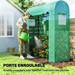 Serre de Jardin, Petite Serre de Balcon en Bâche PE et Châssis Acier, Porte Roulante et Fenêtres en Maille, pour Légumes et Fleurs, Intérieur et Extérieur, 170 x 68 x 200 cm, Vert