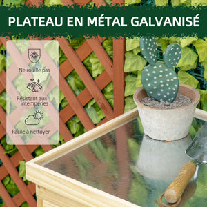 Armoire de jardin, armoire de rangement de jardin, avec plateau en métal galvanisé étagère double porte avec poignée pieds surélevés en bois massif 80 x 45 x 92 cm bois naturel