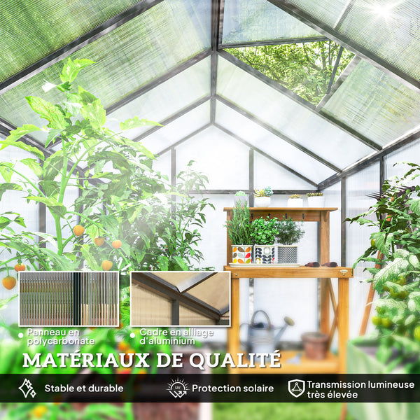 Serre de jardin en aluminium polycarbonate, serre avec fenêtres supérieures réglables, porte battante, abri extérieur résistant aux intempéries pour plante fleur, 303x183x195 cm, transparent
