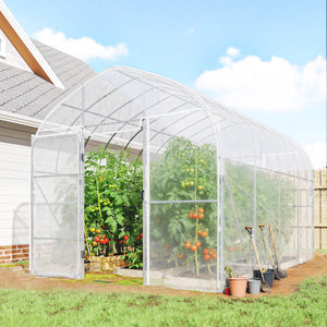 Serre Tunnel de Jardin 12m² Transparent Film PO Anti-goutte Acier Galvanisé 25mm - Structure Renforcée 2 Portes Battantes Robuste - Serre pour Tomates 2,7m Culture d'Hiver Potager
