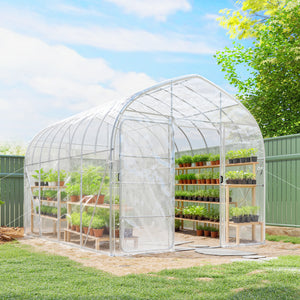 Serre Tunnel de Jardin 12m² Transparent Film PO Anti-goutte Acier Galvanisé 25mm - Structure Renforcée 2 Portes Battantes Robuste - Serre pour Tomates 2,7m Culture d'Hiver Potager
