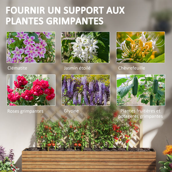 Lot de 2 treillis en bois pour le jardin - panneau arc pour plantes grimpantes - dim. un panneau : 60L x 150H cm
