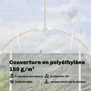 Serre tunnel de jardin 6m², serre de jardin tunnel 195x295x195cm avec cadre acier galvanisé, 2 portes, bâche PE haute densité 150g/m² prolongée de 20 cm, pour extérieur transparent
