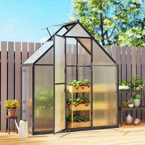 Serre de jardin en aluminium polycarbonate, serre avec fenêtre réglable porte battante, abri extérieur résistant aux intempéries pour plante fleur potager semis, transparent