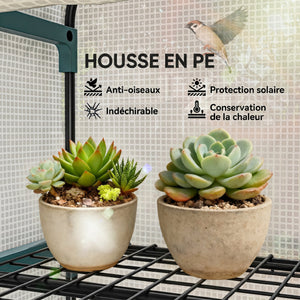Serre de Jardin PE avec Étagères 4 Niveaux, Serre de Balcon, Bâche Renforcée 140g/m², Châssis en Acier, Porte Zippée Enroulable, pour Légumes et Plantes, Extérieur, 70x50x160cm, Blanc et Gris