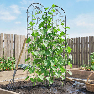 Support pour Plantes Grimpantes avec Oiseaux, Lot de 2, Treillis de Jardin, pour Légumes, Vignes, Fleurs, en Métal, 50 x 220 cm, Noir