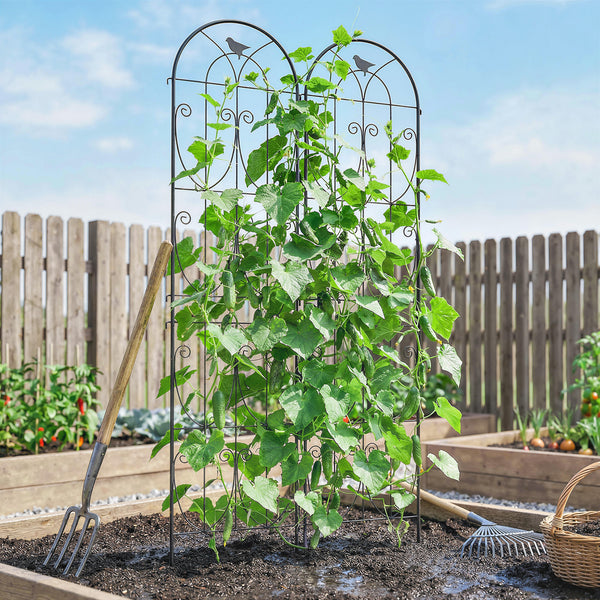 Support pour Plantes Grimpantes avec Oiseaux, Lot de 2, Treillis de Jardin, pour Légumes, Vignes, Fleurs, en Métal, 50 x 220 cm, Noir