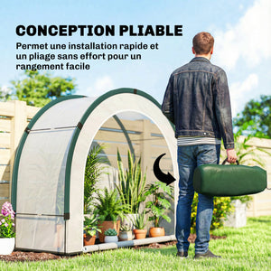 Serre de Jardin Pliable et Portable, Petite Serre de Balcon en Bâche PE et Porte Zippée, pour Légumes Plantes Fleurs, 200 x 80 x 164 cm, Vert