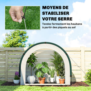 Serre de Jardin Pliable et Portable, Petite Serre de Balcon en Bâche PE et Porte Zippée, pour Légumes Plantes Fleurs, 200 x 80 x 164 cm, Vert