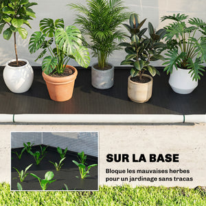 Serre de Jardin Pliable et Portable, Petite Serre de Balcon en Bâche PE et Porte Zippée, pour Légumes Plantes Fleurs, 200 x 80 x 164 cm, Vert