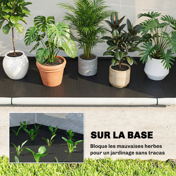 Serre de Jardin Pliable et Portable, Petite Serre de Balcon en Bâche PE et Porte Zippée, pour Légumes Plantes Fleurs, 200 x 80 x 164 cm, Vert