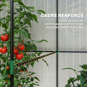 Serre de jardin PE, serre de balcon, bâche renforcée 135 g/m², châssis en acier, porte zippée enroulable, pour légumes plantes fleurs, intérieur et extérieur, 200 x 140 x 200 cm, blanc