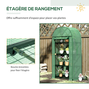 Serre de jardin PE avec étagères 4 niveaux, serre de balcon, bâche renforcée 130 g/m², châssis en acier, porte zippée enroulable, pour légumes plantes fleurs, 80 x 49 x 160 cm, vert