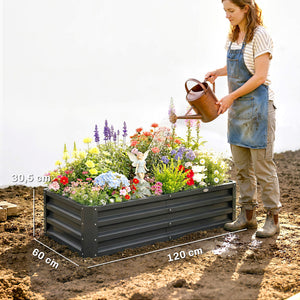 Lot de 2 carrés potagers de jardin 120 x 60 x 30,5 cm acier galvanisée gris
