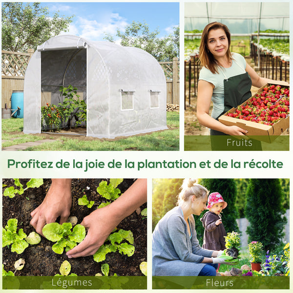 Serre de Jardin Tunnel 6 m² 3L x 2l x 1,9H m Acier galvanisé renforcé diamètre 2,4 cm + PE Haute densité fenêtres Porte Blanc