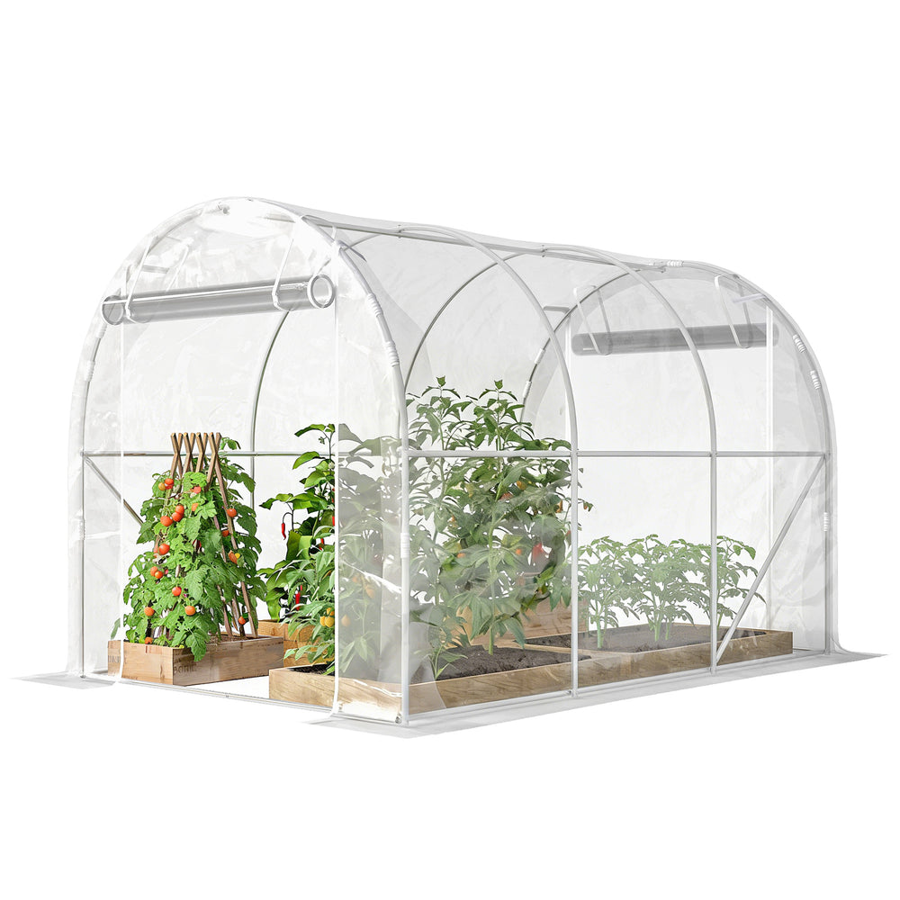Serre tunnel de jardin 6m², serre de jardin tunnel 195x295x195cm avec cadre acier galvanisé, 2 portes, bâche PE haute densité 150g/m² prolongée de 20 cm, pour extérieur transparent
