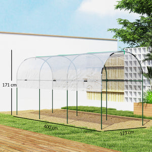 Serre de jardin, serre à tomates, bâche renforcée, châssis en acier, pour légumes plantes fleurs, pour extérieur, 400 x 123 x 171 cm, transparent